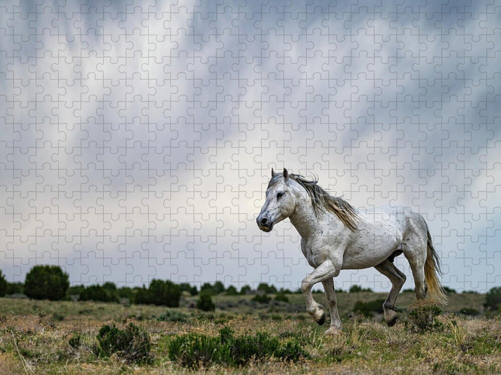 Wild Horse Jigsaw Puzzle featuring the photograph Be the Thunder by Mary Hone