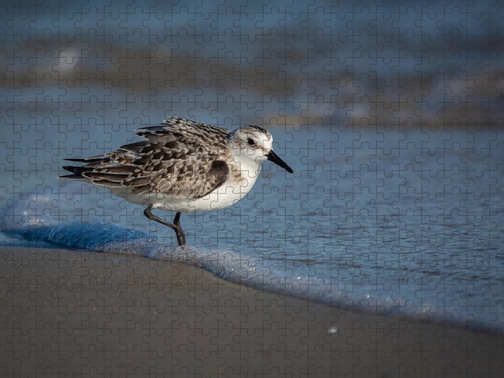 Bird Jigsaw Puzzle featuring the photograph Beach Bully by Linda Bonaccorsi