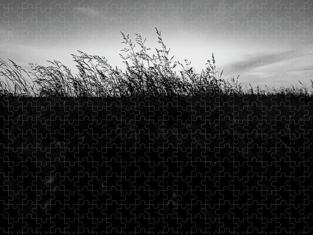 Sand Dunes Jigsaw Puzzle featuring the photograph Beachgrass Sunset Black and White by Pelo Blanco Photo