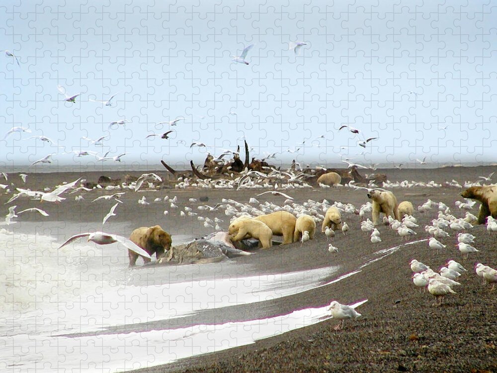 Bear Jigsaw Puzzle featuring the photograph Bears Eating Whale - Paintography by Anthony Jones