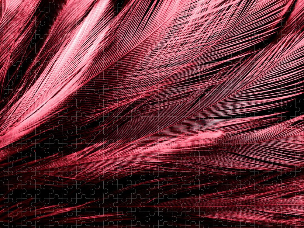 Beautiful abstract red feathers on dark background and black feather  texture on red pattern and red background, pink feather wallpaper, love  theme, wedding valentines day Jigsaw Puzzle by Julien - Pixels