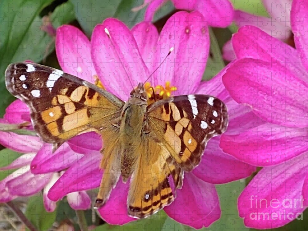 Beautiful Butterfly Jigsaw Puzzle featuring the photograph Beautiful Butterfly with Wounded Wings by Kristin Aquariann