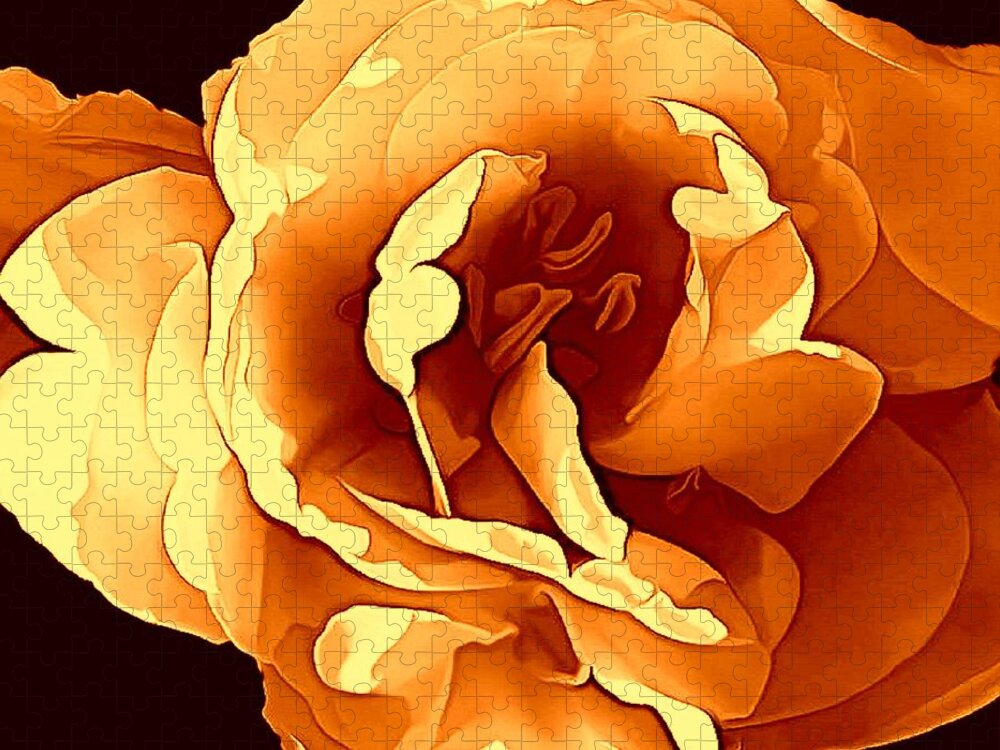 Rose Jigsaw Puzzle featuring the photograph Beautiful Orange Rose by VIVA Anderson