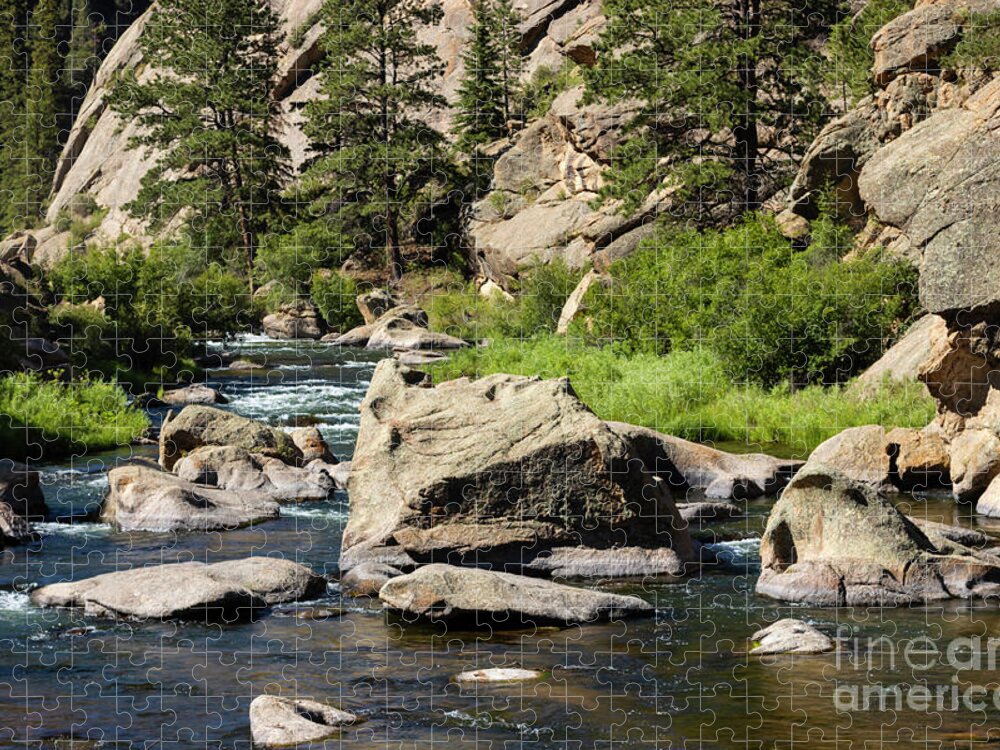 Eleven Mile Canyon Jigsaw Puzzle featuring the photograph Beautiful Water of the South Platte River by Steven Krull