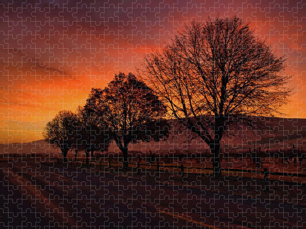 Beauty At Sunrise Jigsaw Puzzle featuring the photograph Beauty at Sunrise by Lynn Hopwood