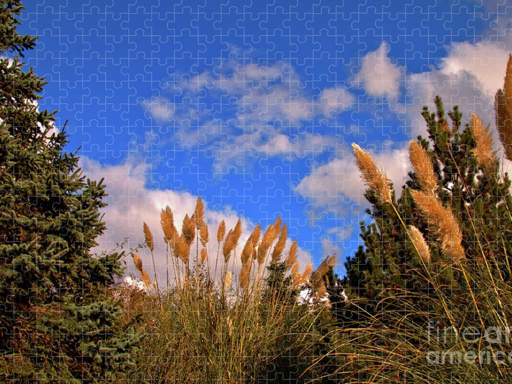 Nature Jigsaw Puzzle featuring the photograph Beauty is out there by Baggieoldboy