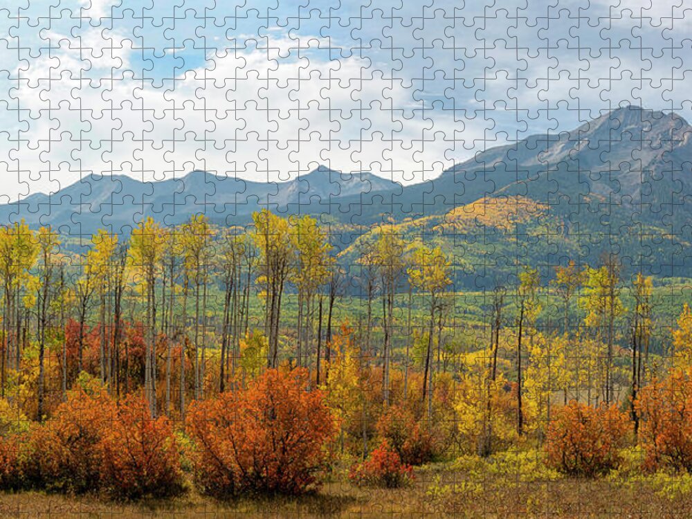 Autumn Jigsaw Puzzle featuring the photograph Beckwith Autumn by Aaron Spong