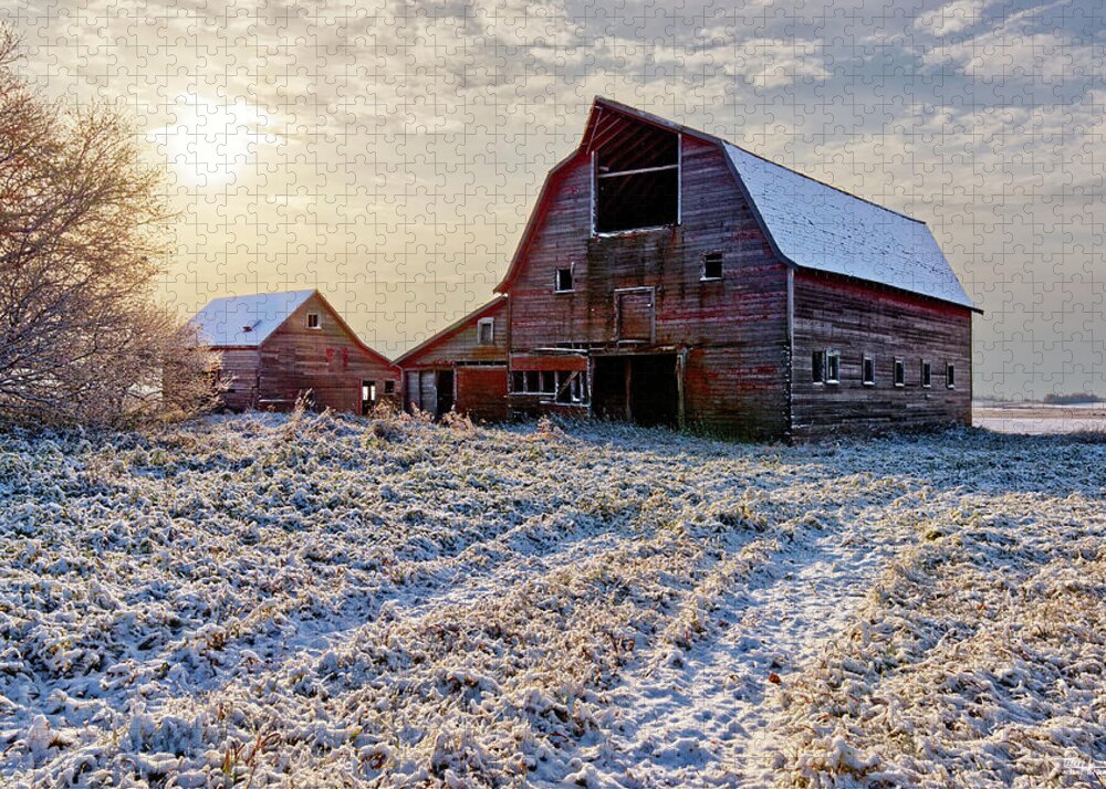 Blackmore Jigsaw Puzzle featuring the photograph Bedazzled Blackmore Barn - abandoned rural ND barn in an early fresh snow at sunrise by Peter Herman
