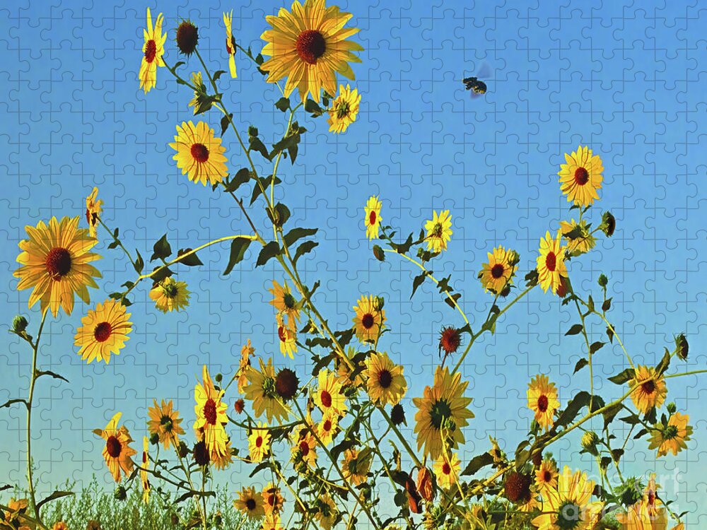 Bee Jigsaw Puzzle featuring the photograph Bee Leave In Summer, Sunflowers, The Happy Flower by Don Schimmel