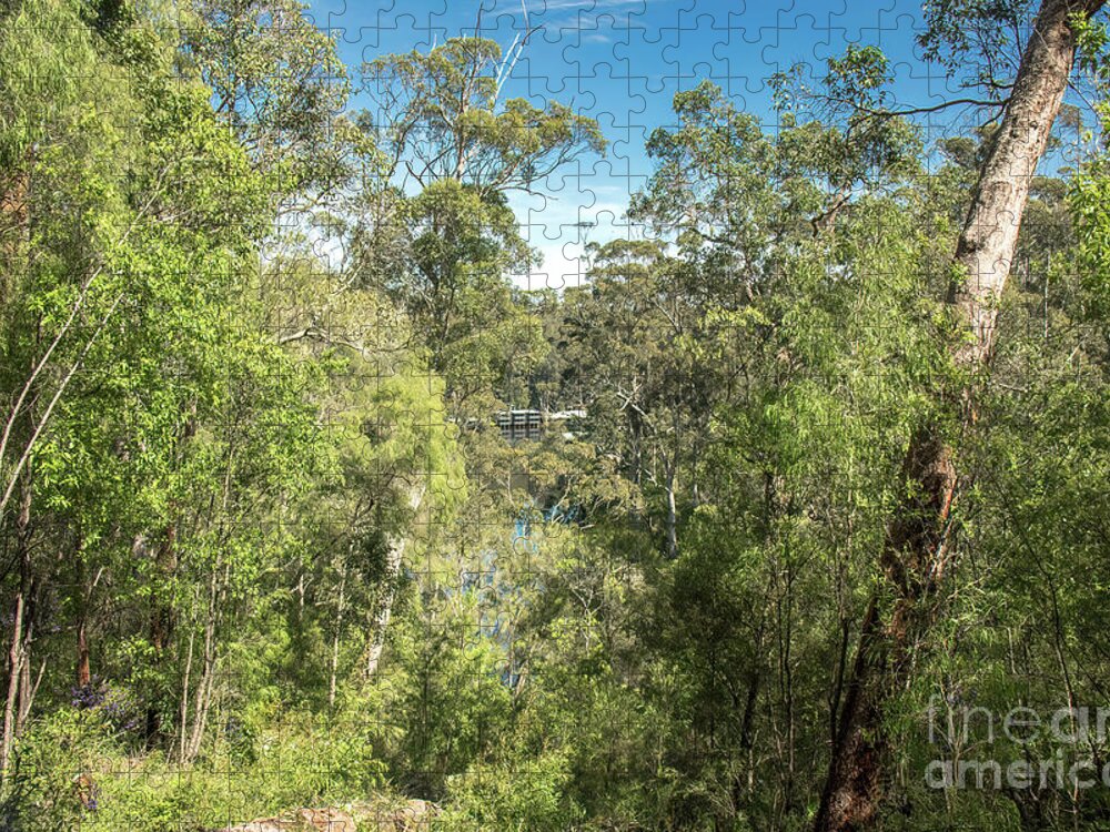 Beedelup National Park Jigsaw Puzzle featuring the photograph Beedelup National Park, Pemberton, Western Australia by Elaine Teague