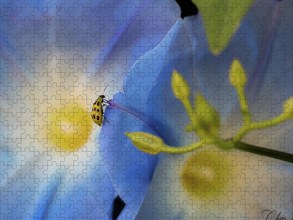Beetle Jigsaw Puzzle featuring the photograph Beetle and Morning Glory by Cheri Freeman