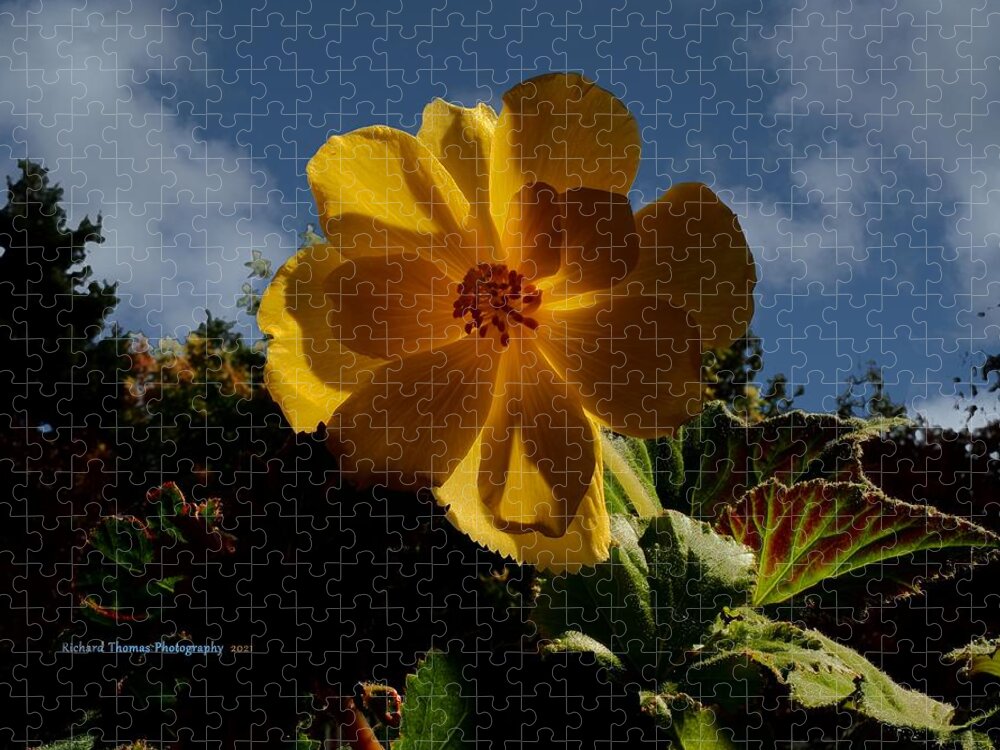 Digital Painting Jigsaw Puzzle featuring the photograph Begonia Cumulus Sky by Richard Thomas