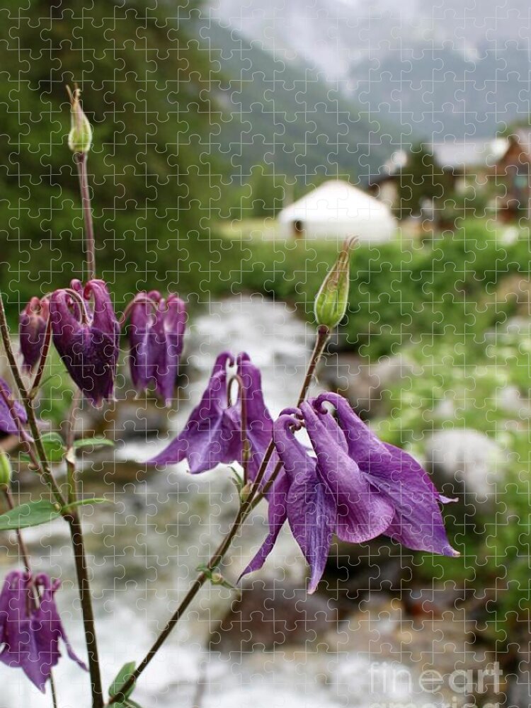 Via Da S-charl Jigsaw Puzzle featuring the photograph Bellflower by Flavia Westerwelle