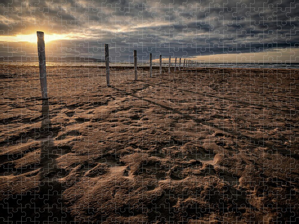 Downhill Jigsaw Puzzle featuring the photograph Benone Beach Posts by Nigel R Bell