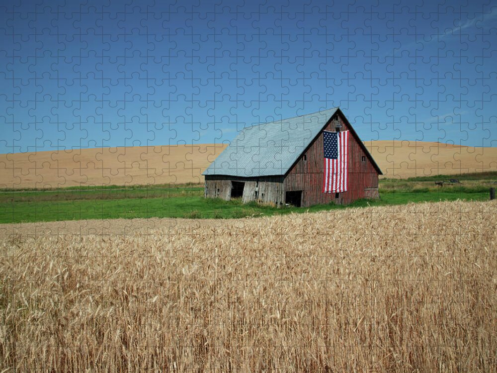 Farm Jigsaw Puzzle featuring the photograph Between Waves of Grain by Connie Carr