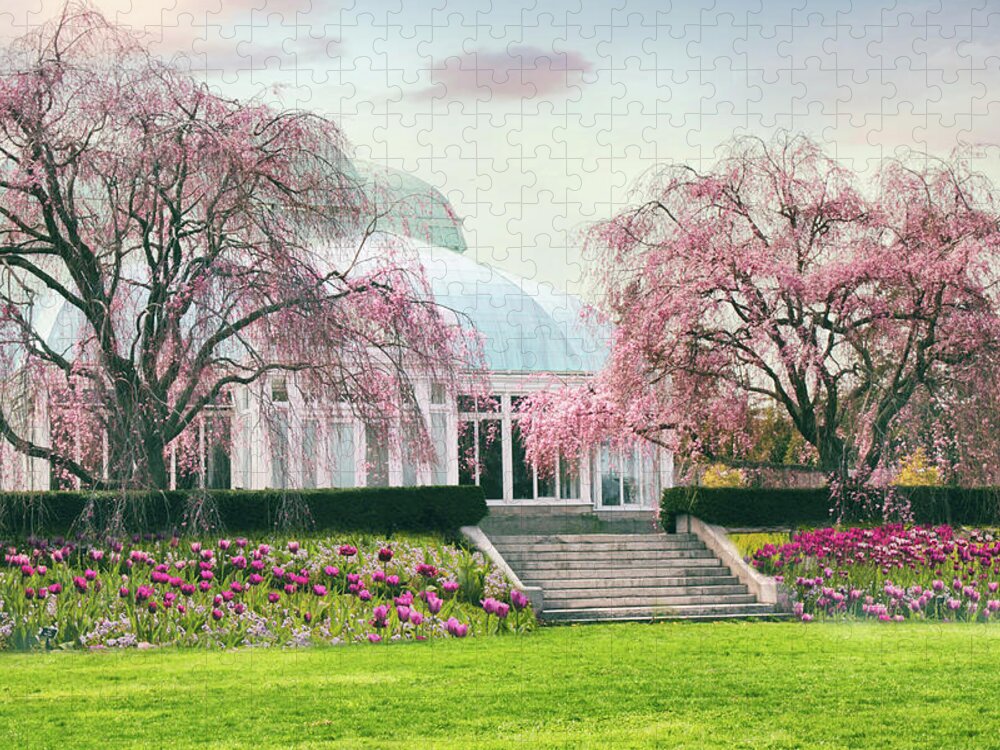Cherry Trees Jigsaw Puzzle featuring the photograph Weeping Cherry in April by Jessica Jenney
