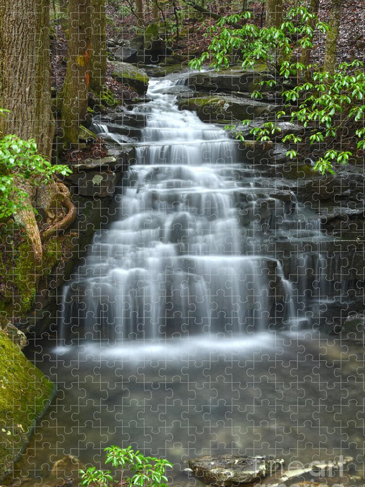 Big Branch Falls Jigsaw Puzzle featuring the photograph Big Branch Falls 5 by Phil Perkins