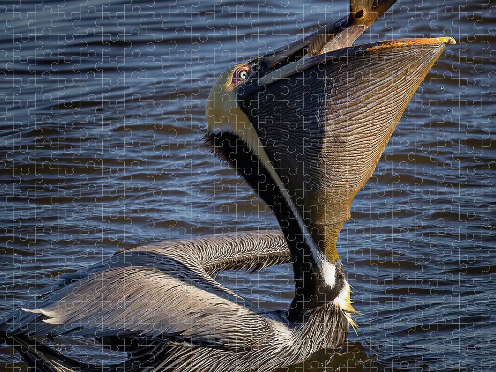 Pelican Jigsaw Puzzle featuring the photograph Big Gulp by JASawyer Imaging