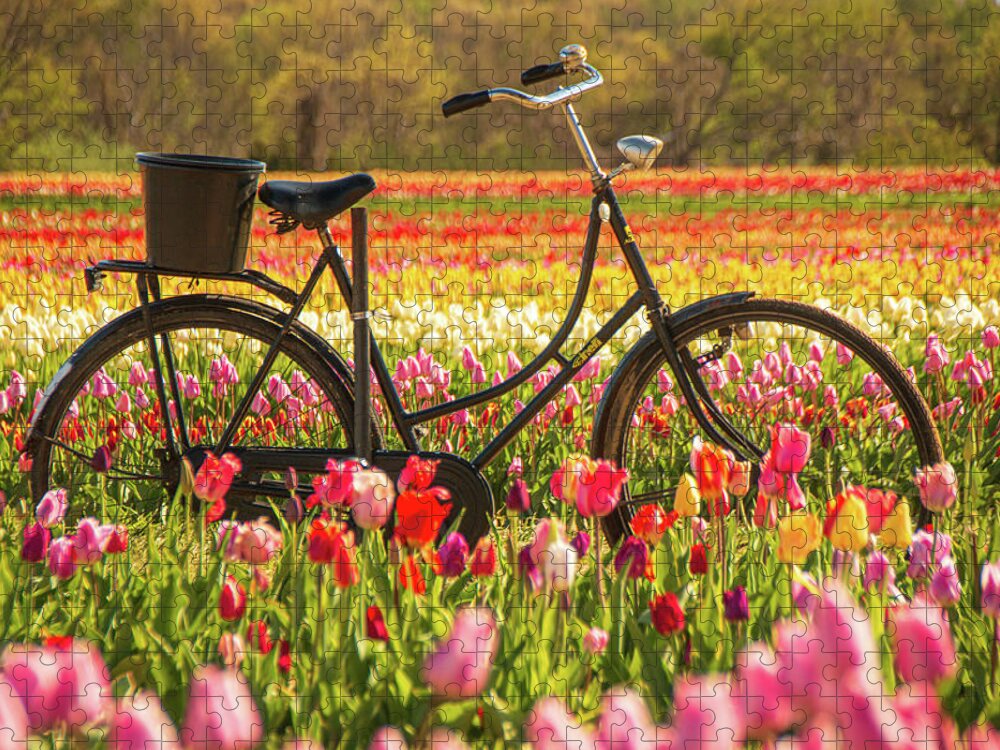 Tulip Jigsaw Puzzle featuring the photograph Biking Through The Tulips by Kristia Adams