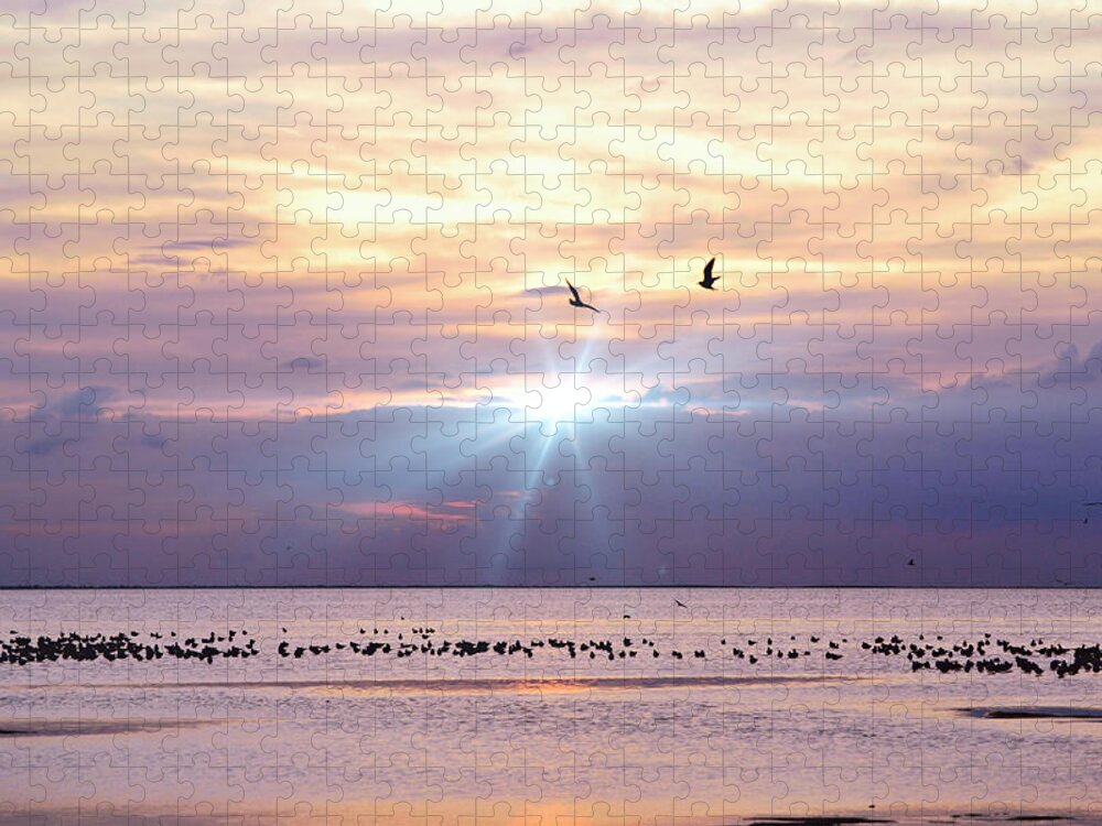 Beach Jigsaw Puzzle featuring the photograph Birds On The Bay At Sunset by Gaby Ethington