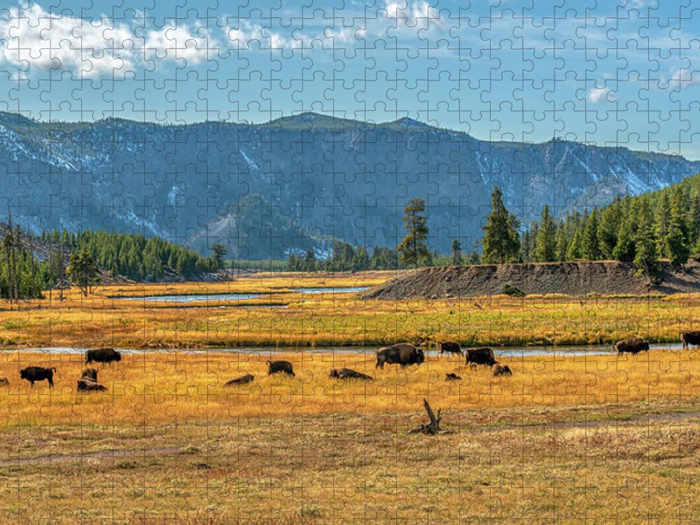 Yellowstone Jigsaw Puzzle featuring the photograph Bison Roaming Madison River in Yellowstone by Kenneth Everett