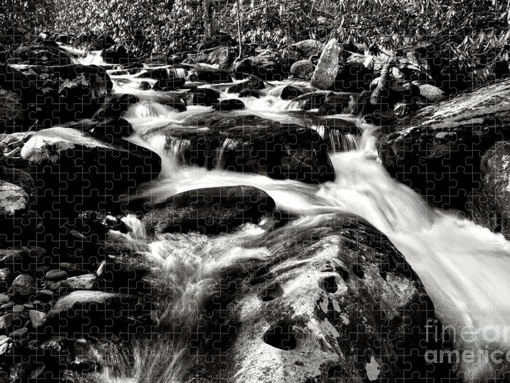 Nature Jigsaw Puzzle featuring the photograph Black And White River 2 by Phil Perkins