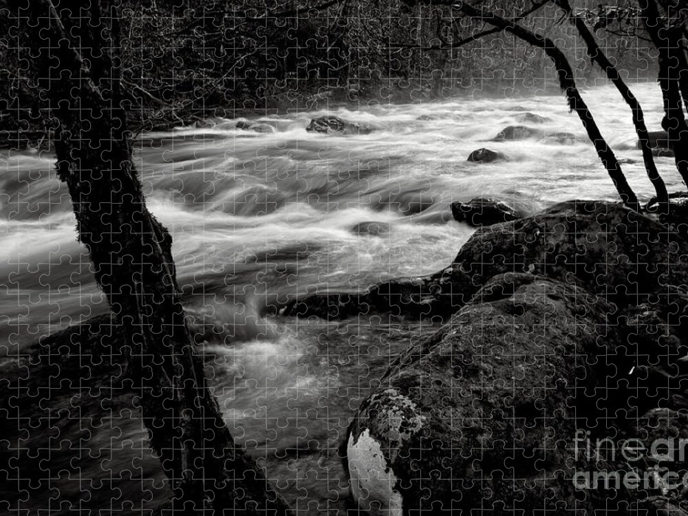 Middle Prong Trail Jigsaw Puzzle featuring the photograph Black And White River 3 by Phil Perkins