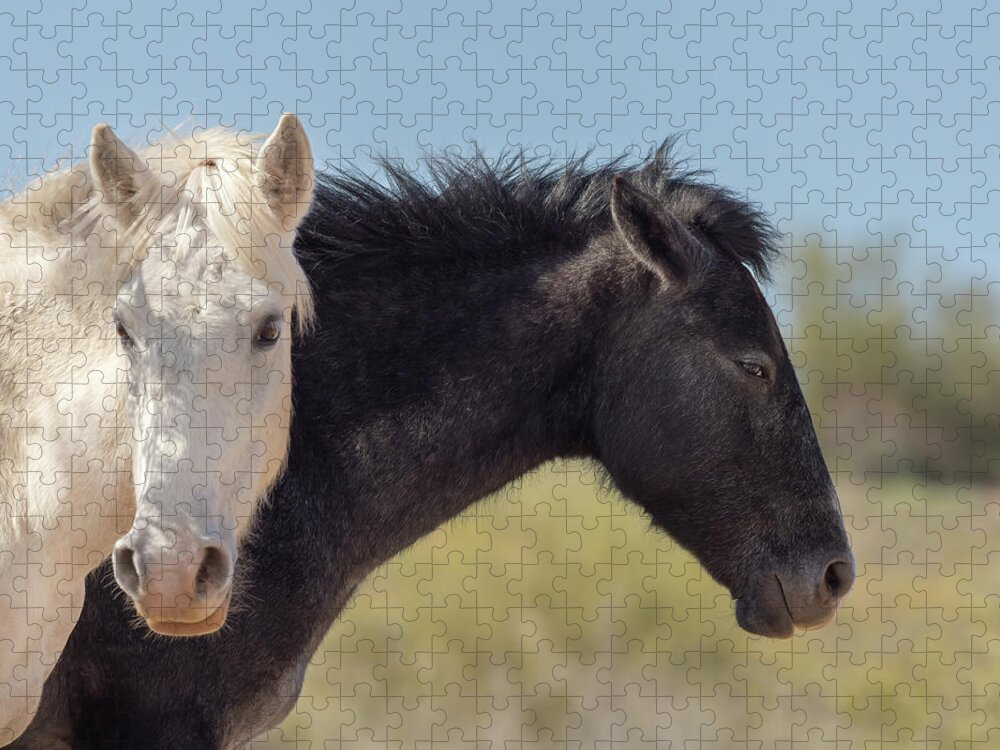 Wild Jigsaw Puzzle featuring the photograph Black and White Wild Mustangs by Sylvia Goldkranz
