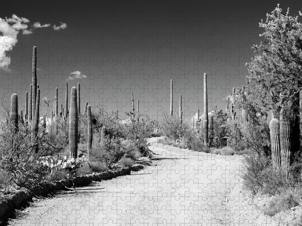 Arizona Jigsaw Puzzle featuring the photograph Black Arizona Series - Along the Path by Philippe HUGONNARD
