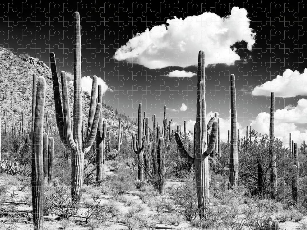 Arizona Jigsaw Puzzle featuring the photograph Black Arizona Series - Cactus Forest by Philippe HUGONNARD