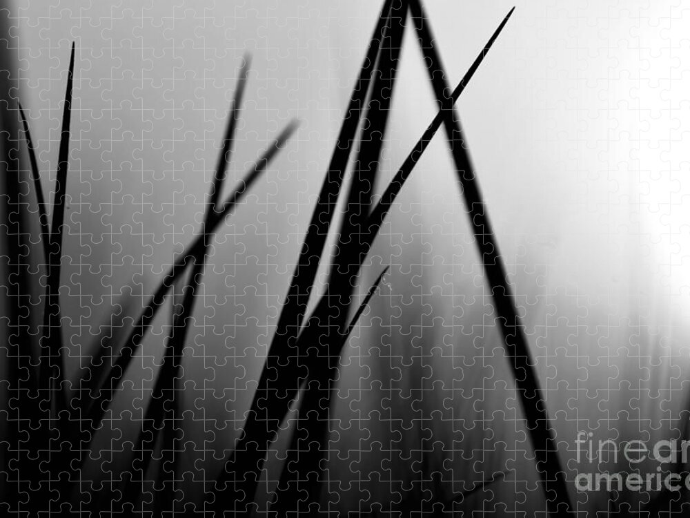 Black And White Jigsaw Puzzle featuring the photograph Black is the Blade Grass by Debra Banks
