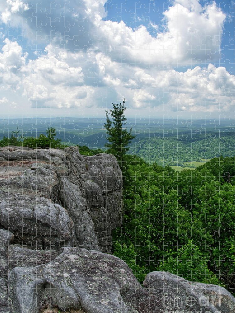 Smokies Jigsaw Puzzle featuring the photograph Black Mountain 19 by Phil Perkins