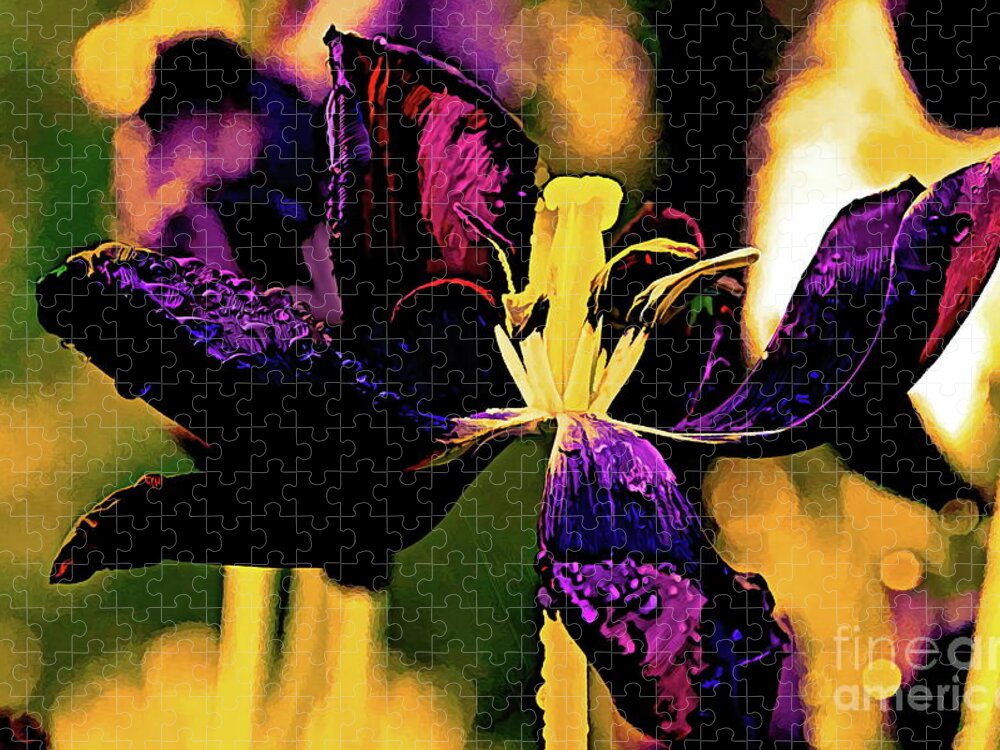 Queen Jigsaw Puzzle featuring the photograph Black Tulip by Diana Mary Sharpton