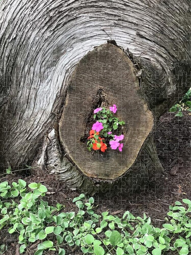  Jigsaw Puzzle featuring the photograph Bloom where You Are Planted by Kathy Bee