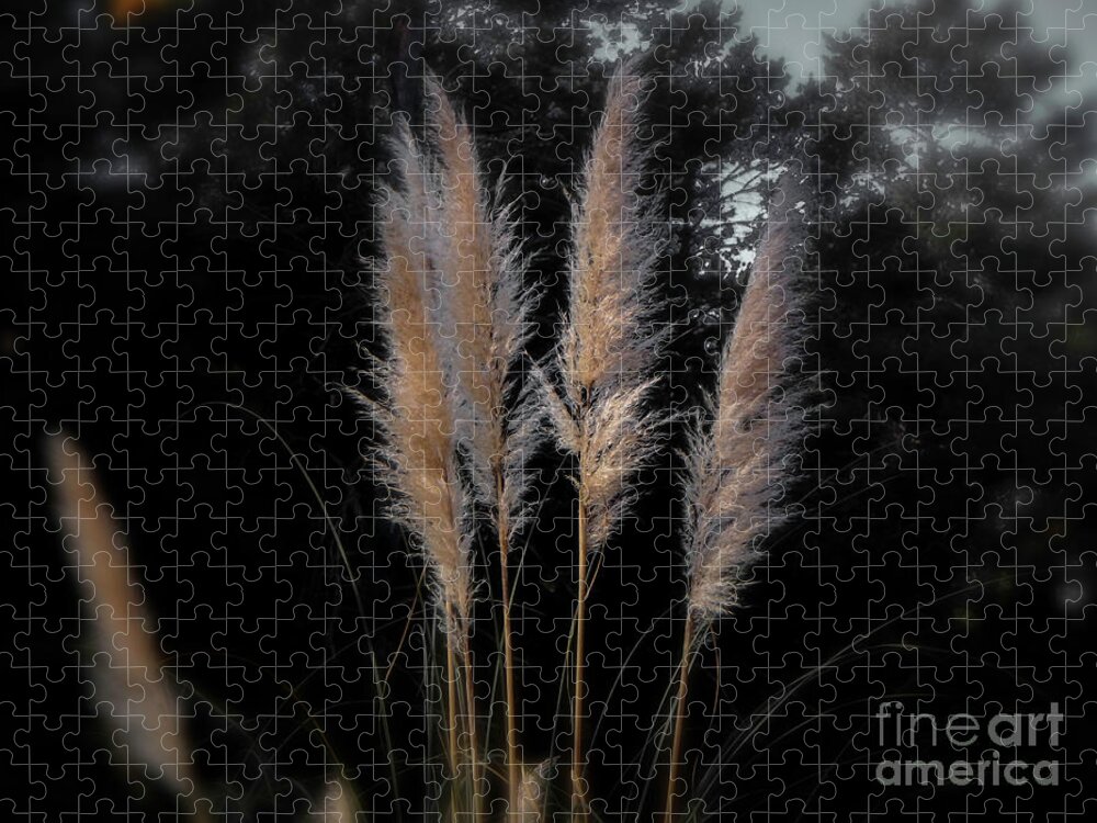 Grass Jigsaw Puzzle featuring the photograph Blowing in the Wind by Judy Hall-Folde