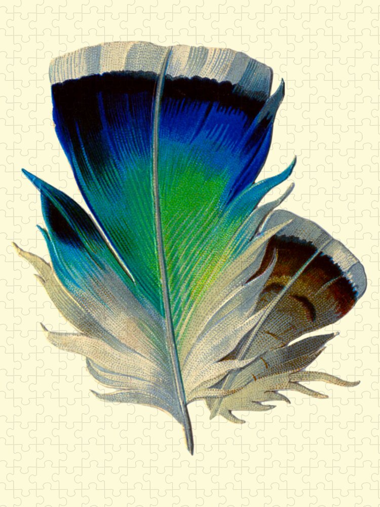 Feather Jigsaw Puzzle featuring the digital art Blue bird feather by Madame Memento