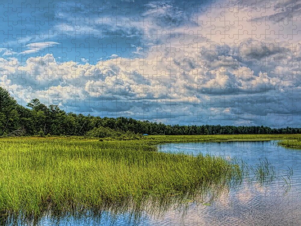 Backwater Jigsaw Puzzle featuring the photograph Blue Channel Backwater Through the Wild Rice by Dale Kauzlaric