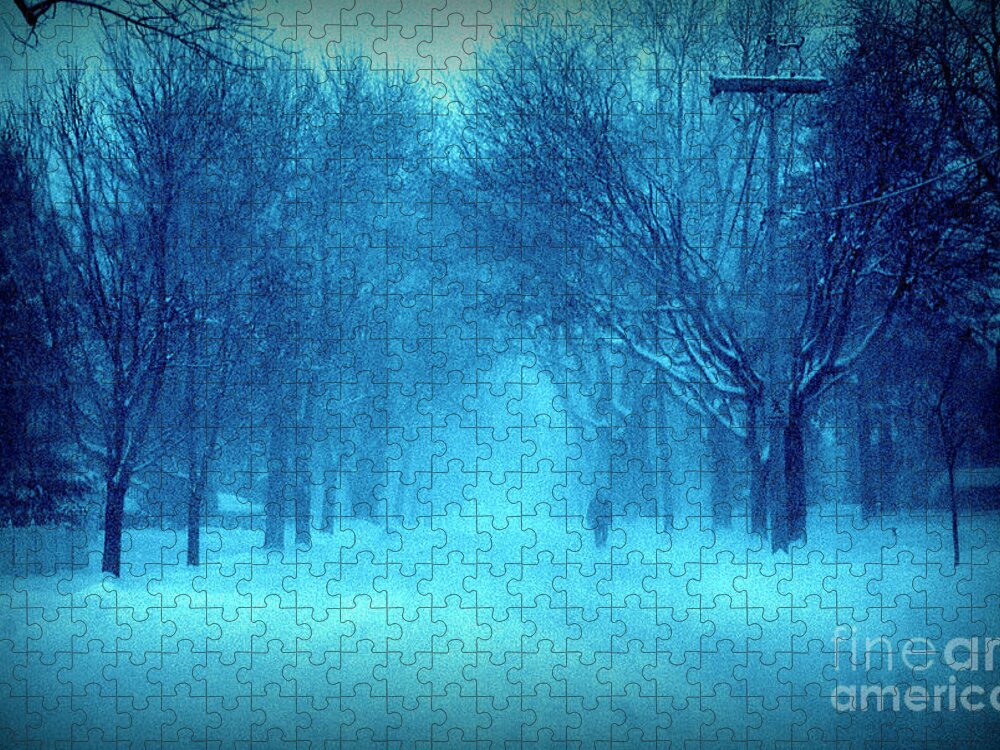 United States Jigsaw Puzzle featuring the photograph Blue Chicago Blizzard by Frank J Casella