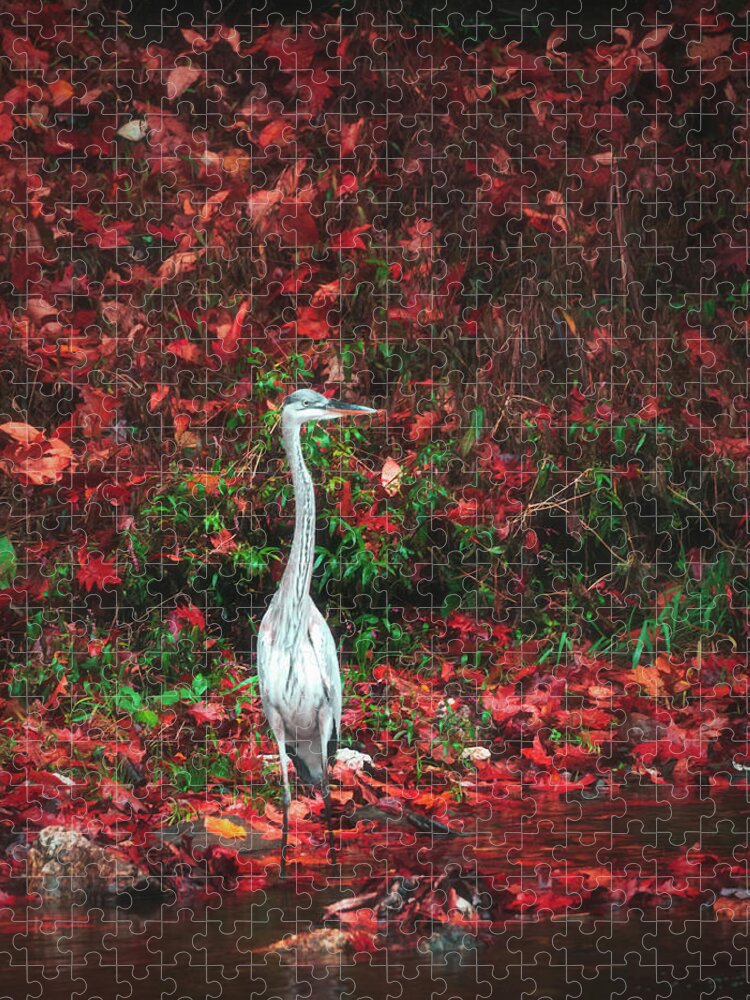 Heron Jigsaw Puzzle featuring the photograph Blue Heron and Red Autumn Leaves by Jason Fink