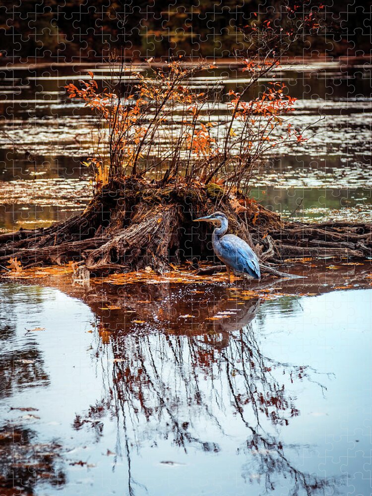 Blue Heron Jigsaw Puzzle featuring the photograph Blue Heron Autumn scene 2 by Lilia S