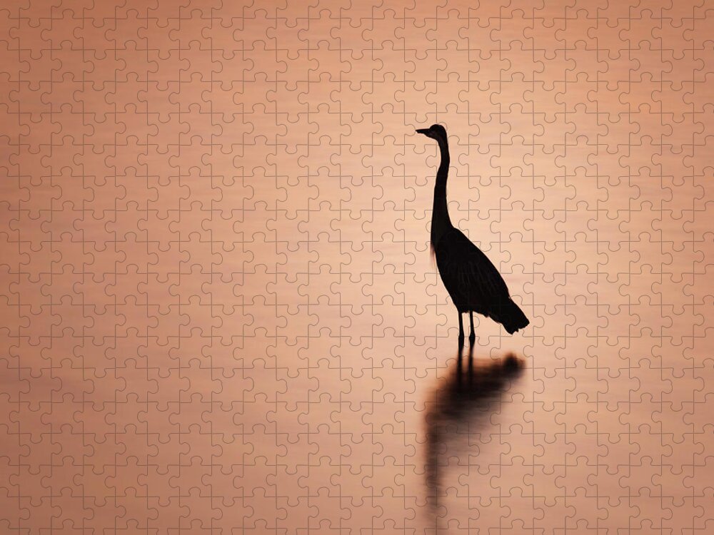 Blue Jigsaw Puzzle featuring the photograph Blue Heron Silhouette and Reflection by Jason Fink