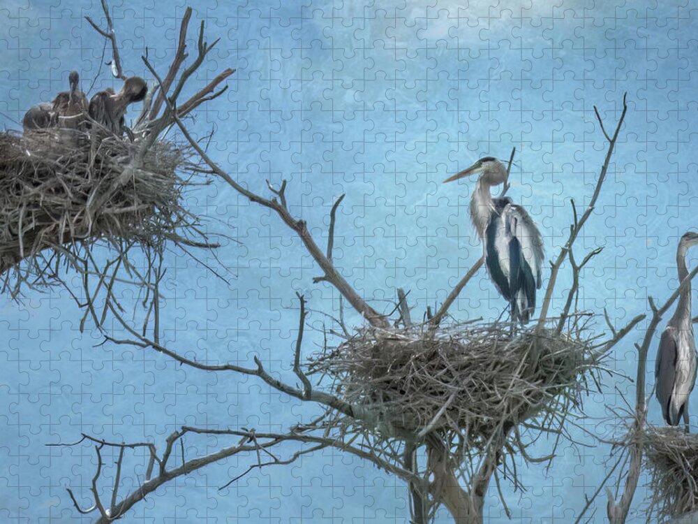 Blue Herons Jigsaw Puzzle featuring the photograph Blue Herons by Laura Terriere
