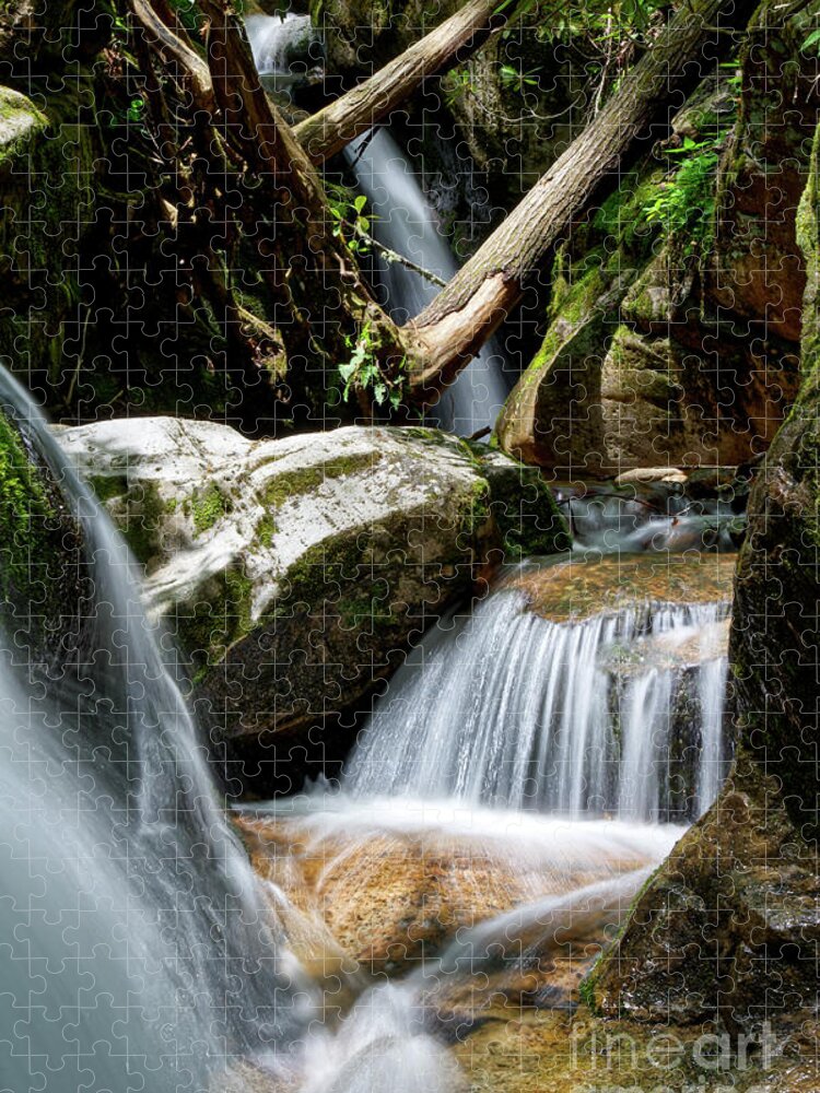 Nature Jigsaw Puzzle featuring the photograph Blue Hole Falls 11 by Phil Perkins