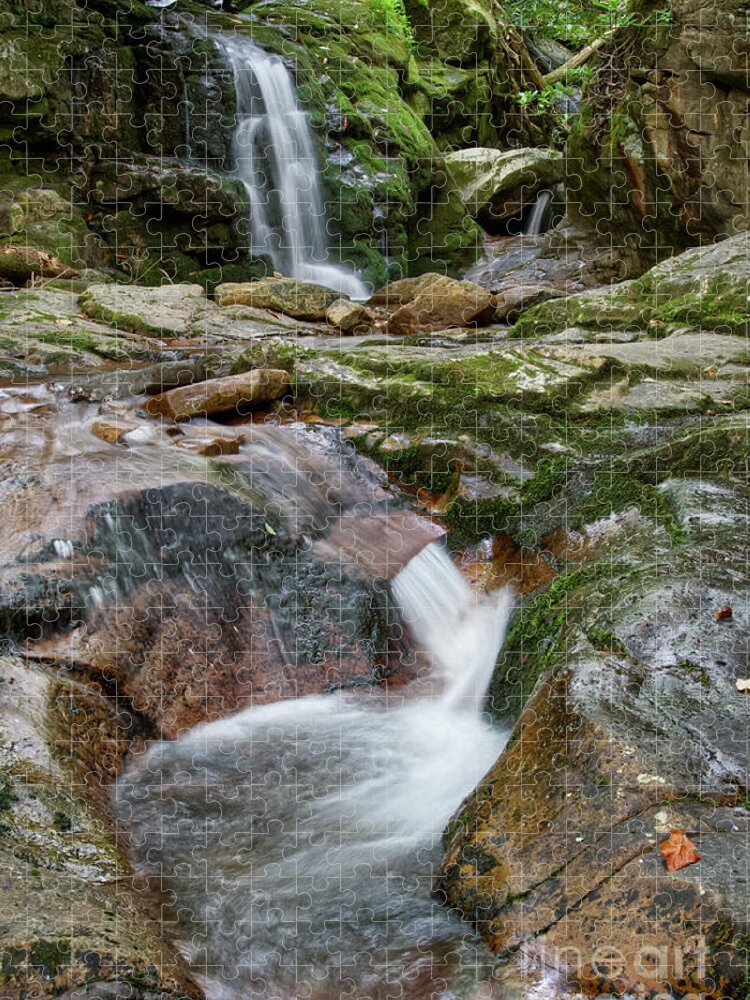 Nature Jigsaw Puzzle featuring the photograph Blue Hole Falls 15 by Phil Perkins