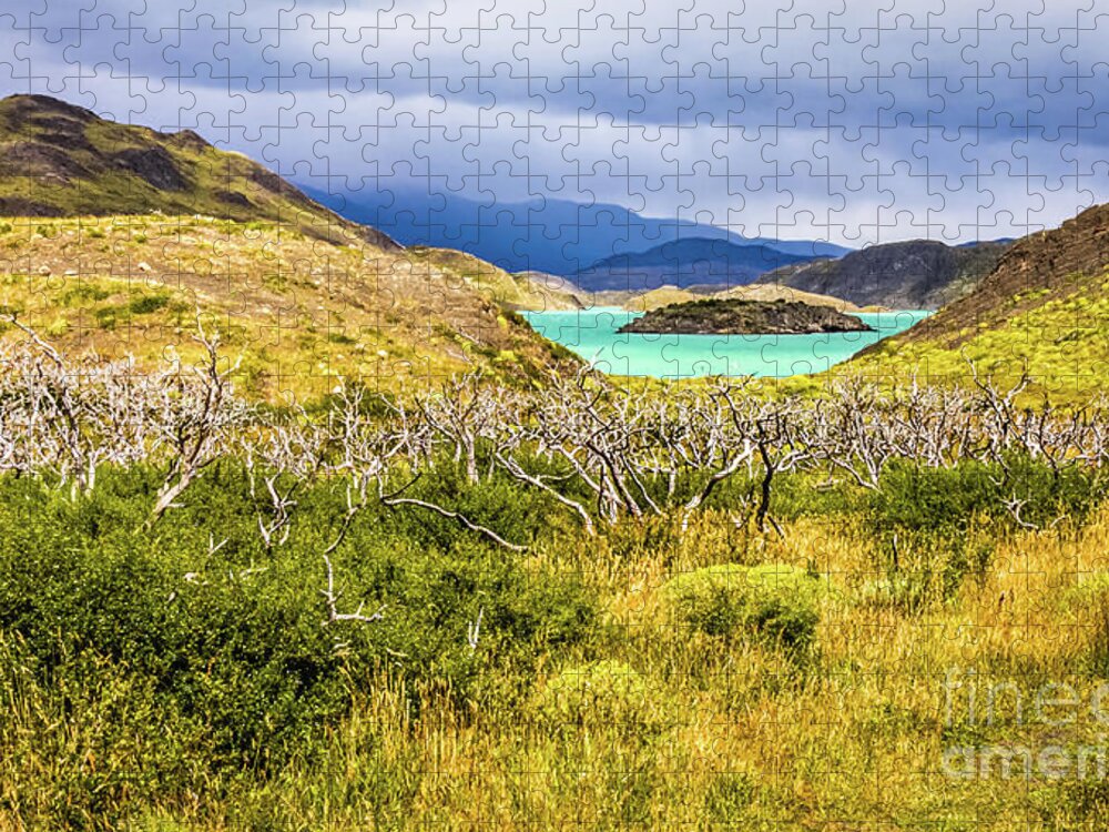 Torres Del Paine Jigsaw Puzzle featuring the photograph Blue lagoon in Torres del Paine, Chile by Lyl Dil Creations