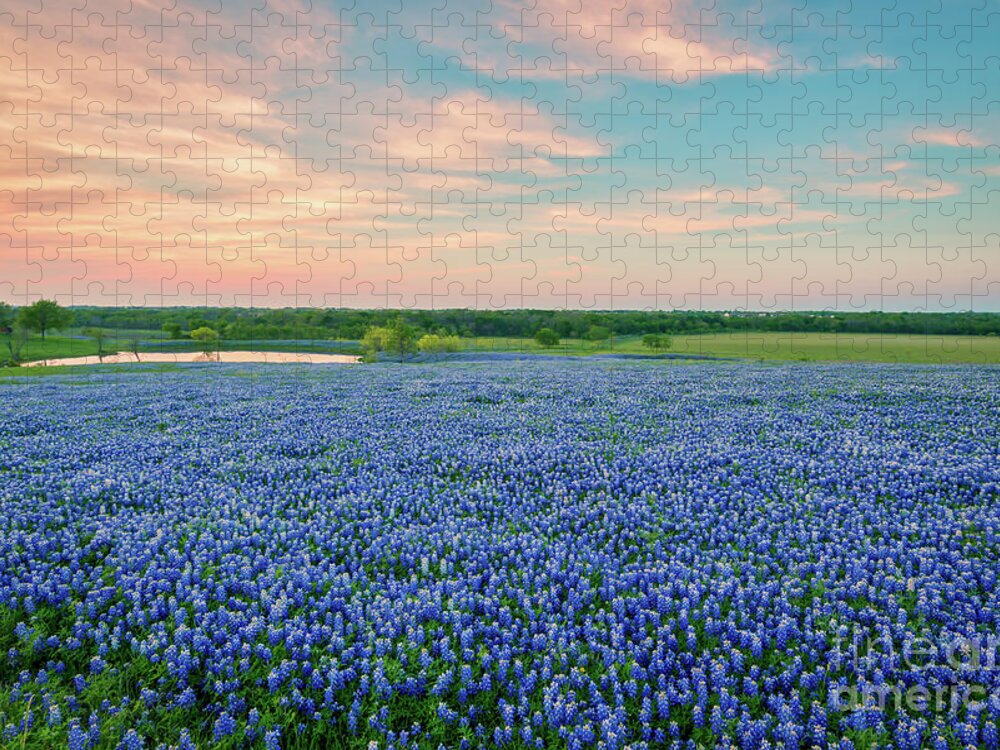 Texas Jigsaw Puzzle featuring the photograph Bluebonnet Lake Texas Sunset - Wildflower Landscape by Bee Creek Photography - Tod and Cynthia