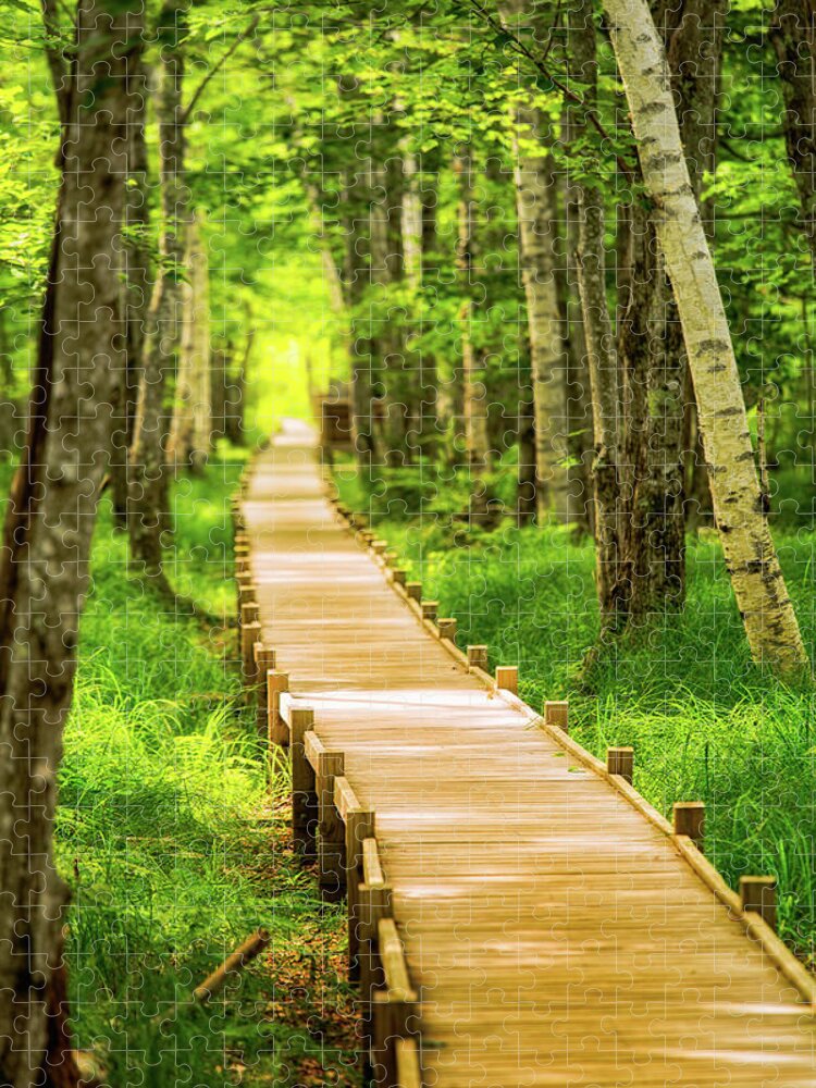 Acadia Jigsaw Puzzle featuring the photograph Boardwalk in the Forest by Jeff Sinon