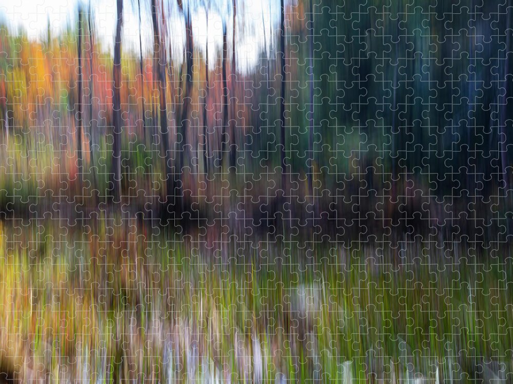 Icm Jigsaw Puzzle featuring the photograph Bog Area In the Fall by Betty Pauwels