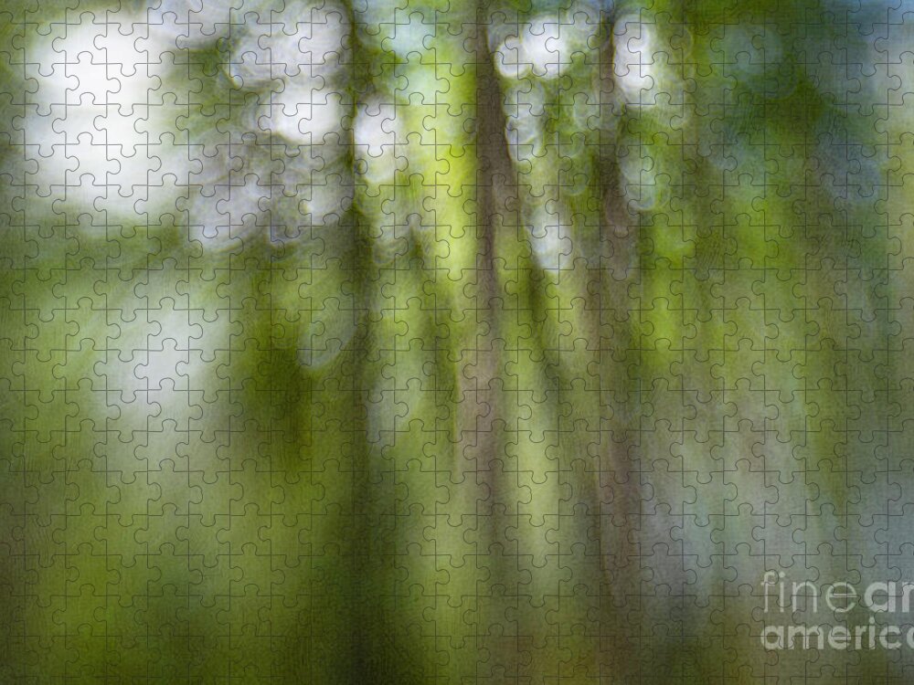 Abstract Jigsaw Puzzle featuring the photograph Bohek Forest by Priska Wettstein