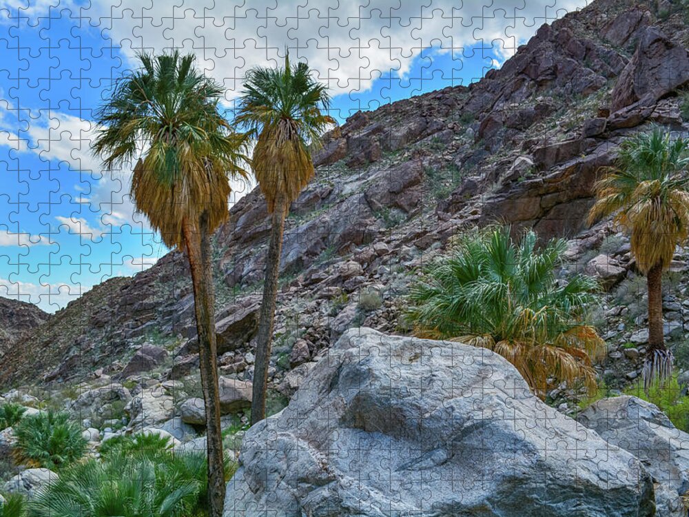 Anza Borrego Desert State Park Jigsaw Puzzle featuring the photograph Borrego Palm Canyon by Kyle Hanson